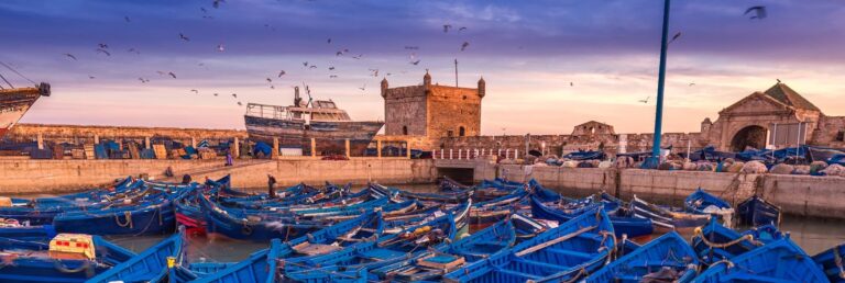 Scenic view of Essaouira city in Morocco, showcasing its historic medina walls, bustling harbor filled with traditional blue fishing boats, and the expansive Atlantic coastline.